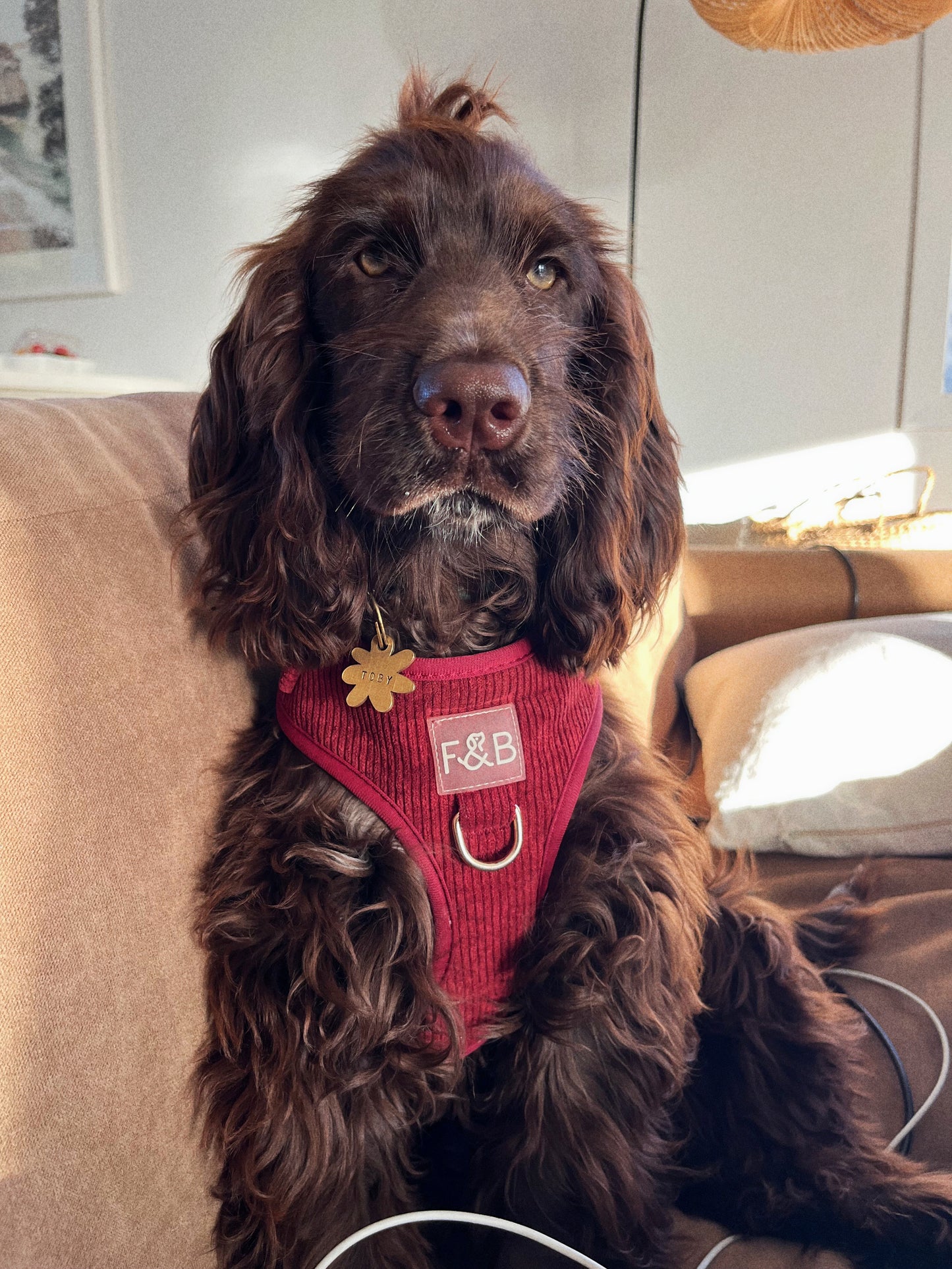 Adjustable Corduroy Harness