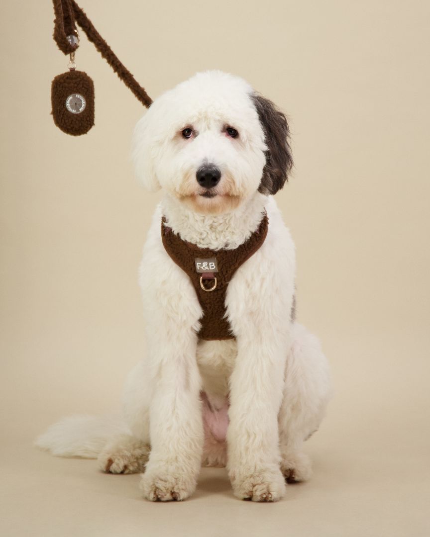 Bouclé Harness