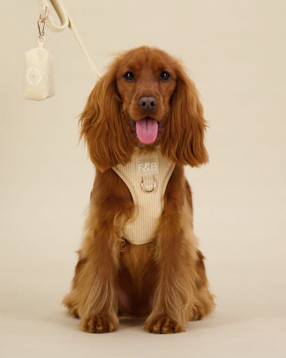 Cocker Spaniel wearing a size XS Fetch and Bark Corduroy Harness Bundle in Cream, featuring the stylish corduroy harness, matching lead, and waste bag holder with gold hardware for a secure, comfortable, and chic fit