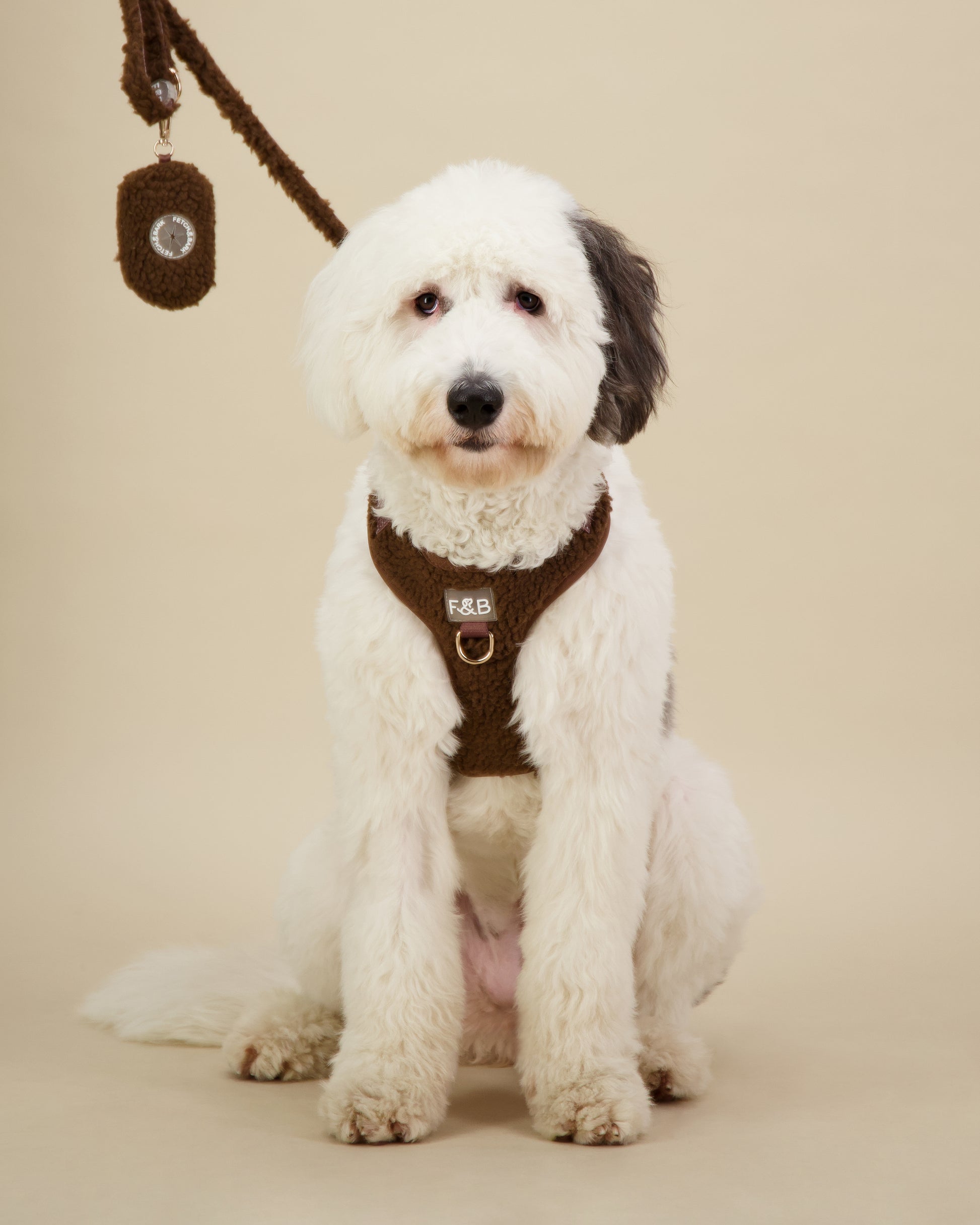 Sheepadoodle wearing a size M Fetch and Bark Chocolate Boucle Harness, paired with the matching waste bag holder and lead, featuring boucle texture, gold hardware, and a high-tensile clip for a comfortable and stylish fit.