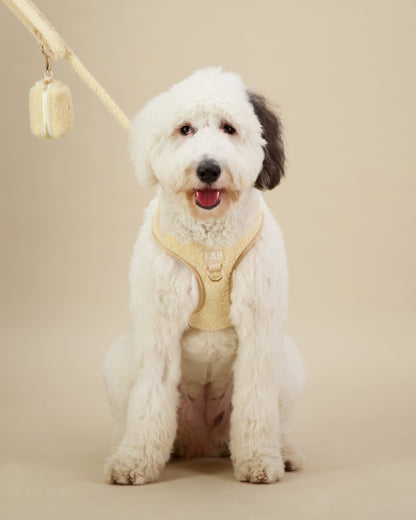 Sheepadoodle wearing a size M Fetch and Bark cream Boucle Harness, paired with the matching waste bag holder and lead, featuring boucle texture, gold hardware, and a high-tensile clip for a comfortable and stylish fit.