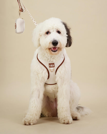 Sheepadoodle wearing a size M Fetch and Bark Neoprene Bundle, featuring a waterproof neoprene harness, matching lead, and waste bag holder with adjustable straps and high-quality hardware, designed for a comfortable, secure, and stylish fit.